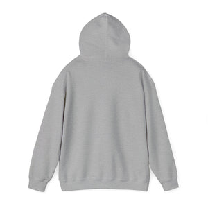 CLEAN SWEEP HOODIE (4 Colour styles)